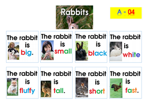 A4- (print A3) Rabbits